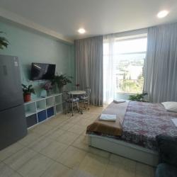 1-комнатные апартаменты студия 1.3