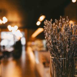 Фото Отель Горная Высота 985