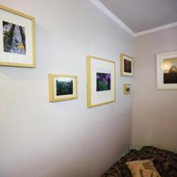 Фото Отель Золотой Гусь