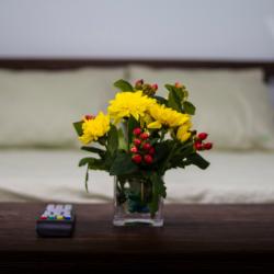 Фото Отель Белый Ключ