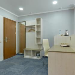 Номер стандарт с 1 двуспальной кроватью (без окна)