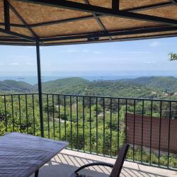 Фото Отель Дома в лесу