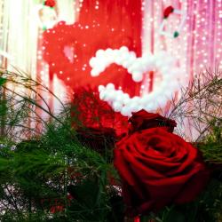 Фото Фитнес-Парк-Отель