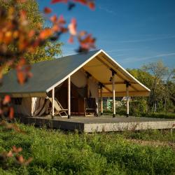 Фото Отель Дом Ларди