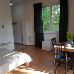 Номер стандарт комфорт с 1 двуспальной кроватью