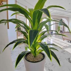 Фото Отель Панорама