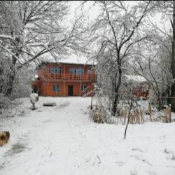 Фото Отель Хижина