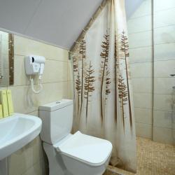 Фото Отель Alpina Resort by Stellar Hotels, Tsaghkadzor (Альпина Резорт от Стеллар Хотелс, )