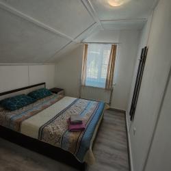 Фото Отель Гостевой дом в Сосново (в)