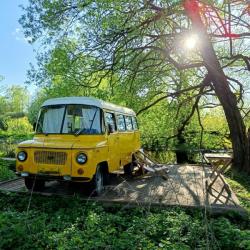 Номер стандарт Woody Yellow