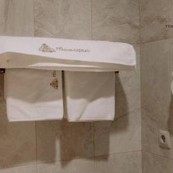 Фото Отель Tomiris hotel (Томирис)