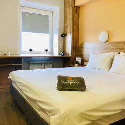 Номер стандарт бизнес с 1 двуспальной кроватью