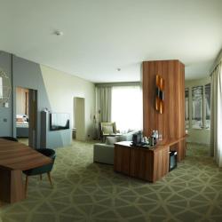 Фото Отель Mercure Saransk Center (Меркюр Центр)