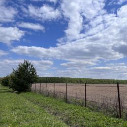 Фото Отель РETRUSНKА.Просторы (Петрушка)