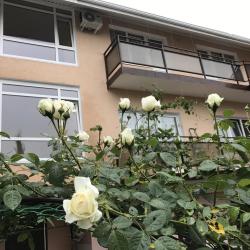 Фото Отель Ди Анна