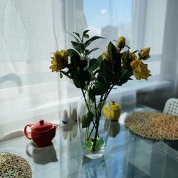 фото 10 Green Home (Грин Хоум) на улице Зеленая 21