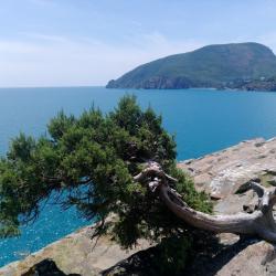 Фото Отель Седьмое небо