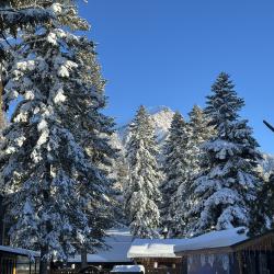 Эко Парк — 1cfd19365f3c4234fbe2d5893943ff2e