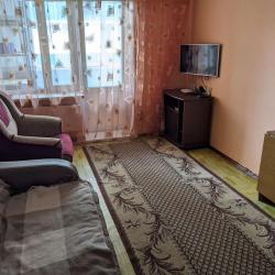 Фото Апартаменты на улице Новосёлов 1