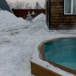 Дом у сосны