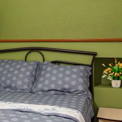 2-местный номер комфорт стандарт с 1 двуспальной кроватью