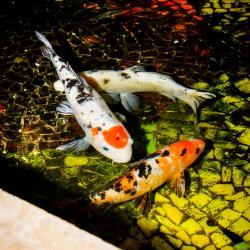 Фото Отель Берег