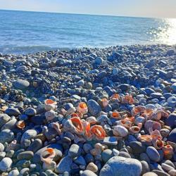 Фото Отель Лоран