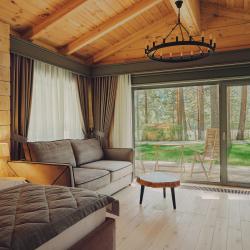 Шале классик