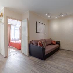 2-комнатные апартаменты стандарт ул.5-я просека, 110Д (9-й этаж)