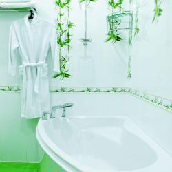 Фото Отель Элион