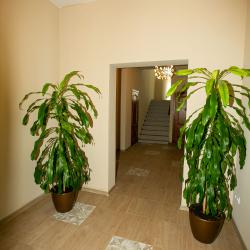 Фото Отель Solo Apart Nvrsk (Соло Апарт Нврск)