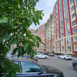 1-комнатные апартаменты стандарт