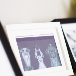 Фото Парк-отель Шишка