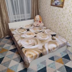 Фото Апартаменты на улице Воровского 3