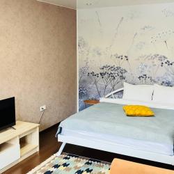 Фото Апартаменты на улице Капитана Буркова 37