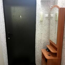 Фото Апартаменты на улице Менделеева 173
