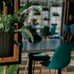 Фото SPA-отель Песок и море