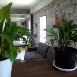 Фото Отель Гостевой Дом Империал