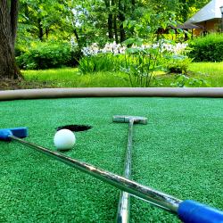 Фото Отель Вятичи Eco Resort & Medical Spa