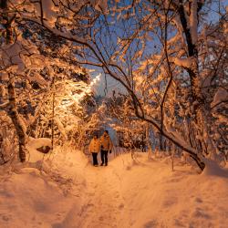 Фото Отель Уютные ёлы