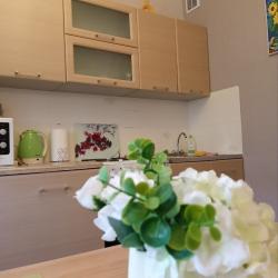 Фото Апартаменты на улице Дружинина 62