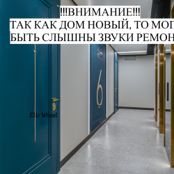 1-комнатные апартаменты студия