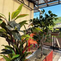 Фото Отель Garden Town (Гарден таун)