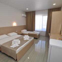 Номер стандарт Плюс без балкона с 1 двуспальной и 1 односпальной кроватью (Корпус Андорра)