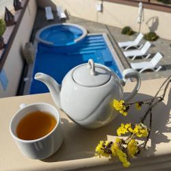 Фото Отель Вилла Елена