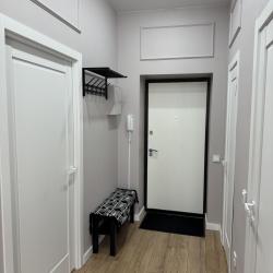 Фото Апартаменты на улице Менделеева 229 к1