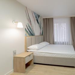 Номер стандарт с 1 двуспальной кроватью  Антоновка