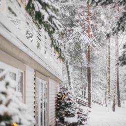 Фото Парк-отель Песчаный