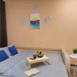 1-комнатные апартаменты стандарт с 2 диванами #3