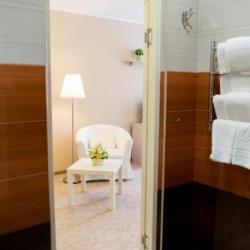 Номер люкс с 1 двуспальной кроватью (с завтраком)